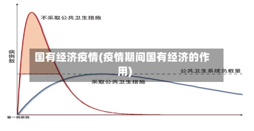 国有经济疫情(疫情期间国有经济的作用)-第2张图片