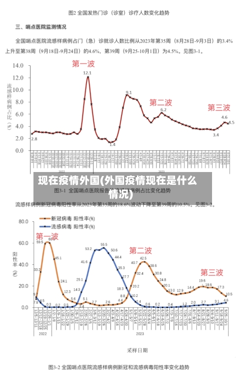 现在疫情外国(外国疫情现在是什么情况)