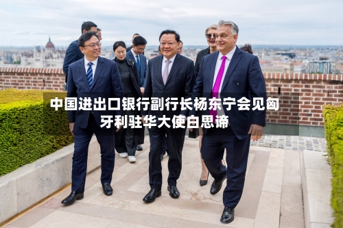 中国进出口银行副行长杨东宁会见匈牙利驻华大使白思谛