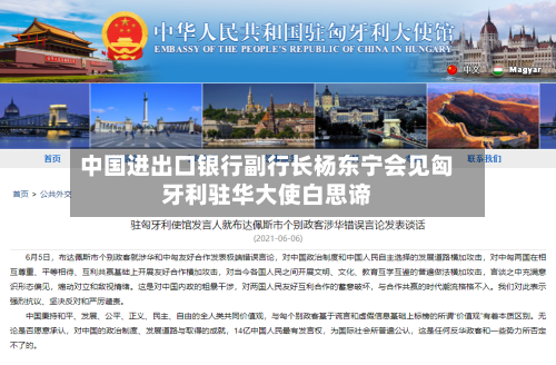 中国进出口银行副行长杨东宁会见匈牙利驻华大使白思谛-第2张图片