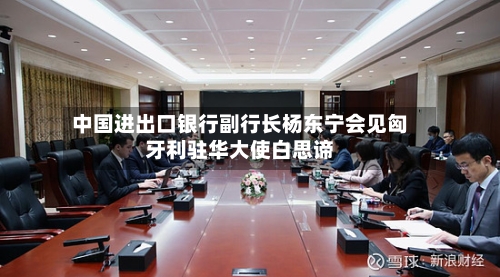 中国进出口银行副行长杨东宁会见匈牙利驻华大使白思谛-第3张图片