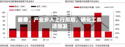 费用翻番，产业步入上行周期，磷化工赛道爆发