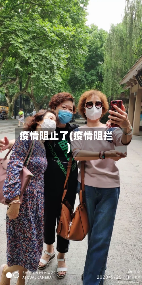疫情阻止了(疫情阻拦)