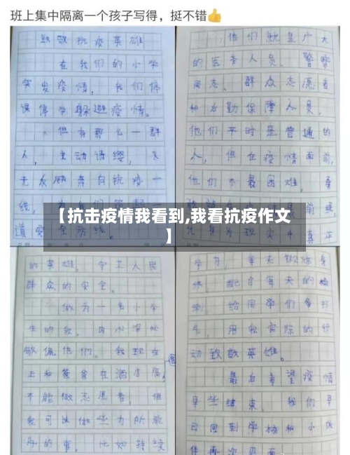 【抗击疫情我看到,我看抗疫作文】