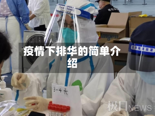 疫情下排华的简单介绍