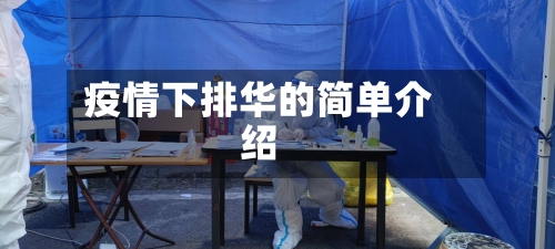 疫情下排华的简单介绍-第2张图片