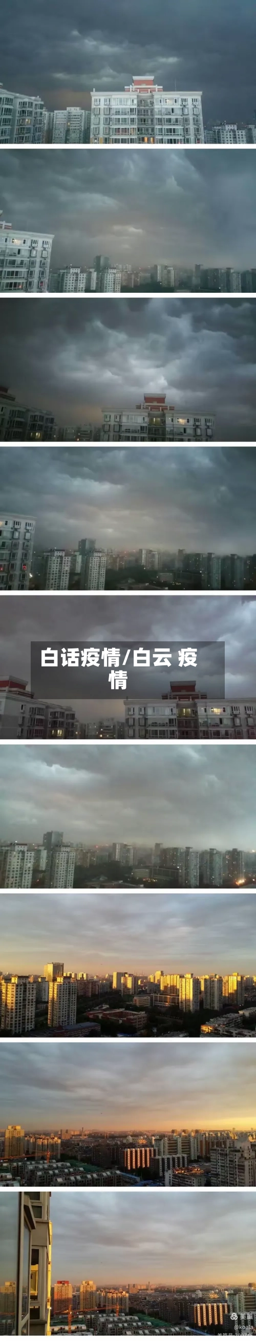 白话疫情/白云 疫情
