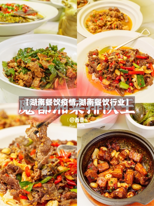 【湖南餐饮疫情,湖南餐饮行业】
