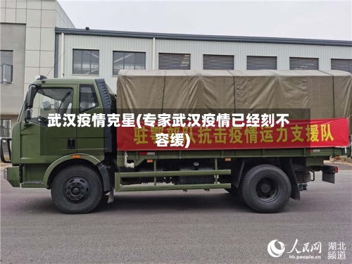 武汉疫情克星(专家武汉疫情已经刻不容缓)