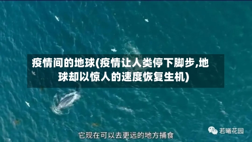 疫情间的地球(疫情让人类停下脚步,地球却以惊人的速度恢复生机)-第3张图片