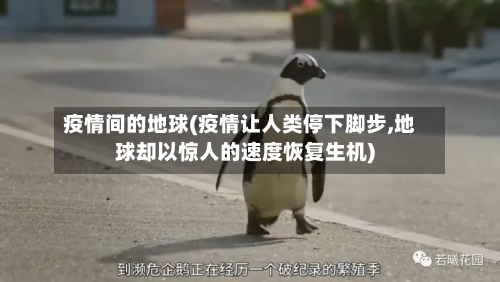 疫情间的地球(疫情让人类停下脚步,地球却以惊人的速度恢复生机)