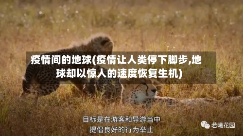 疫情间的地球(疫情让人类停下脚步,地球却以惊人的速度恢复生机)-第2张图片
