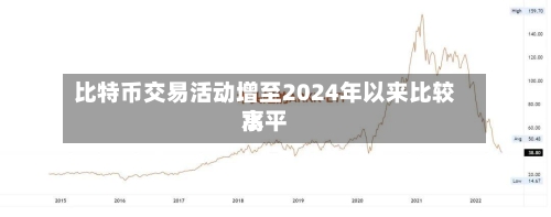 比特币交易活动增至2024年以来比较高水平