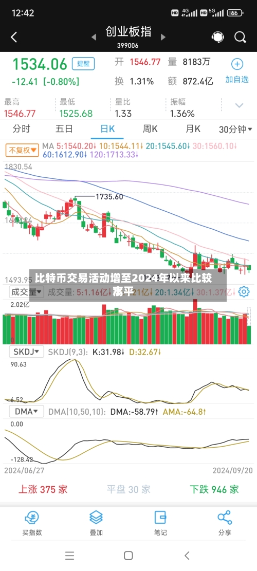 比特币交易活动增至2024年以来比较高
水平-第2张图片