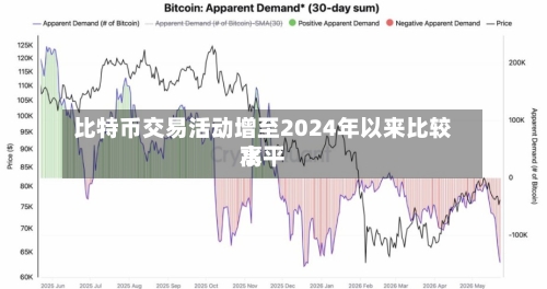 比特币交易活动增至2024年以来比较高
水平-第3张图片
