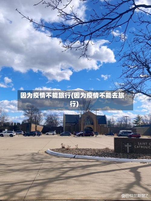 因为疫情不能旅行(因为疫情不能去旅行)