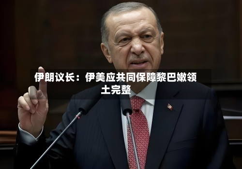 伊朗议长：伊美应共同保障黎巴嫩领土完整