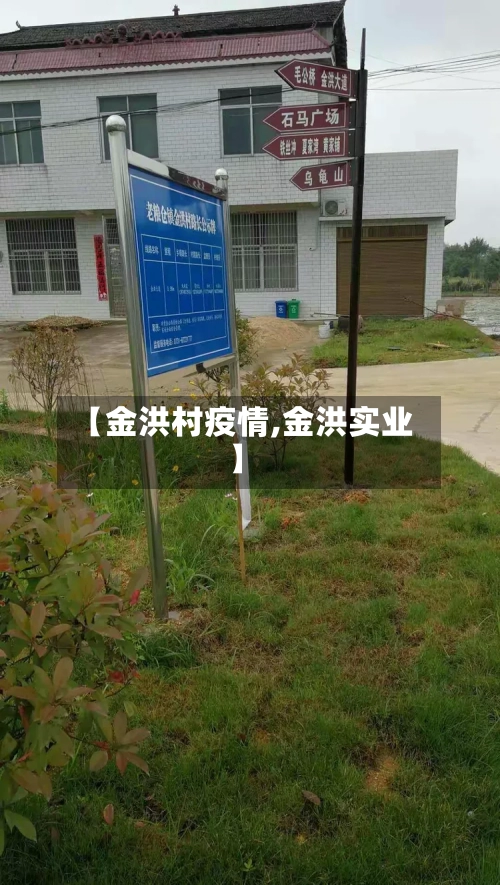 【金洪村疫情,金洪实业】-第2张图片