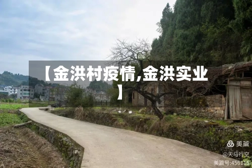 【金洪村疫情,金洪实业】