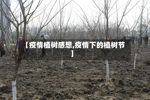【疫情植树感想,疫情下的植树节】-第2张图片
