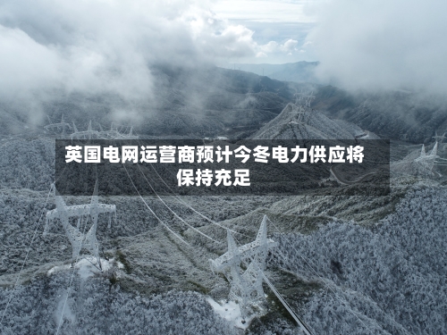 英国电网运营商预计今冬电力供应将保持充足-第2张图片
