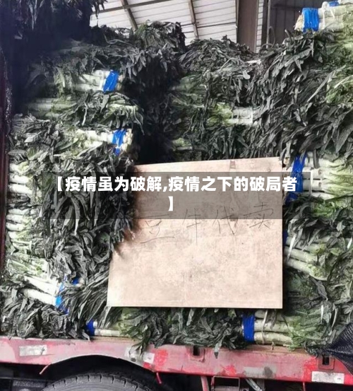【疫情虽为破解,疫情之下的破局者】-第2张图片