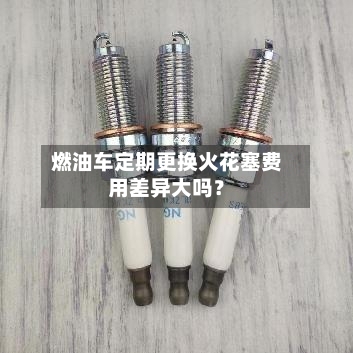 燃油车定期更换火花塞费用差异大吗？