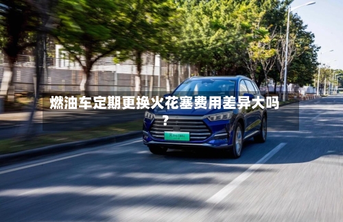 燃油车定期更换火花塞费用差异大吗?-第2张图片