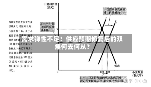 需求弹性不足！供应预期修复后的双焦何去何从？