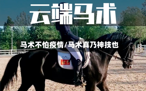 马术不怕疫情/马术真乃神技也-第2张图片