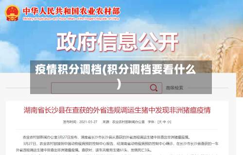 疫情积分调档(积分调档要看什么)-第2张图片
