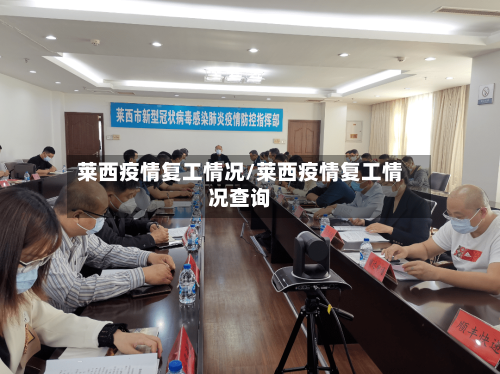 莱西疫情复工情况/莱西疫情复工情况查询-第2张图片