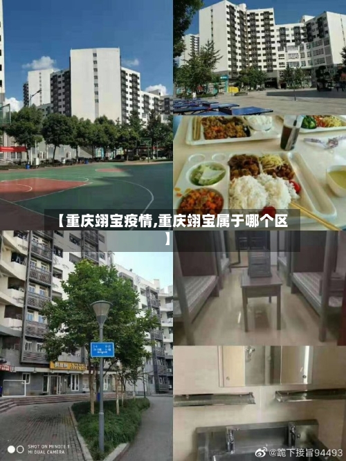【重庆翊宝疫情,重庆翊宝属于哪个区】-第3张图片