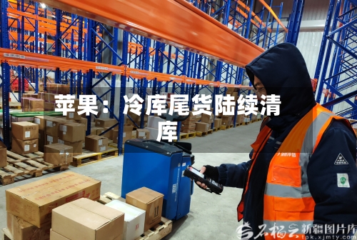 苹果:冷库尾货陆续清库-第2张图片