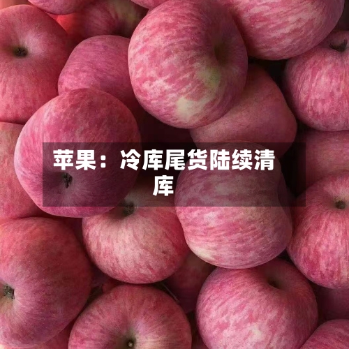苹果：冷库尾货陆续清库