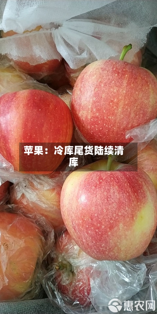 苹果:冷库尾货陆续清库-第3张图片