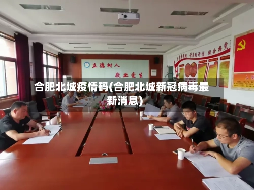 合肥北城疫情码(合肥北城新冠病毒最新消息)-第3张图片