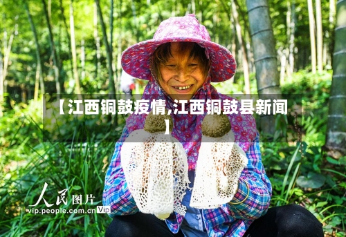 【江西铜鼓疫情,江西铜鼓县新闻】-第2张图片