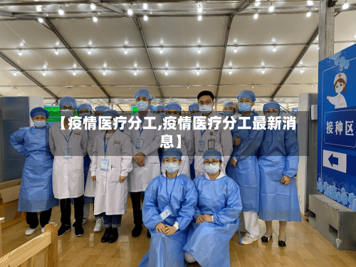 【疫情医疗分工,疫情医疗分工最新消息】