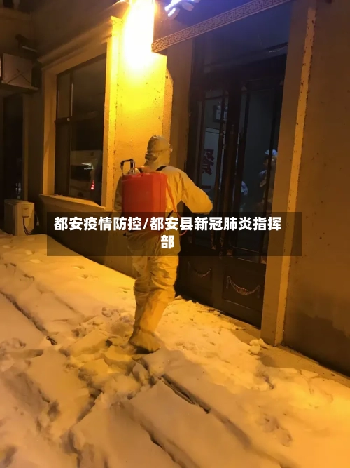 都安疫情防控/都安县新冠肺炎指挥部