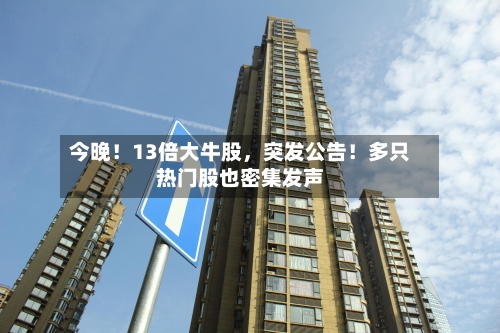 今晚！13倍大牛股，突发公告！多只热门股也密集发声-第3张图片