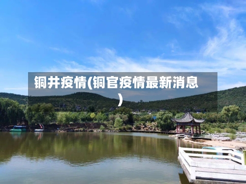 铜井疫情(铜官疫情最新消息)