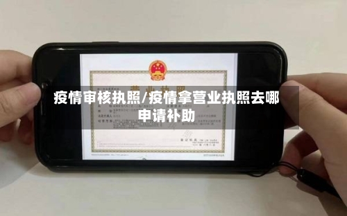 疫情审核执照/疫情拿营业执照去哪申请补助-第2张图片