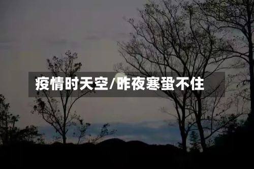 疫情时天空/昨夜寒蛩不住