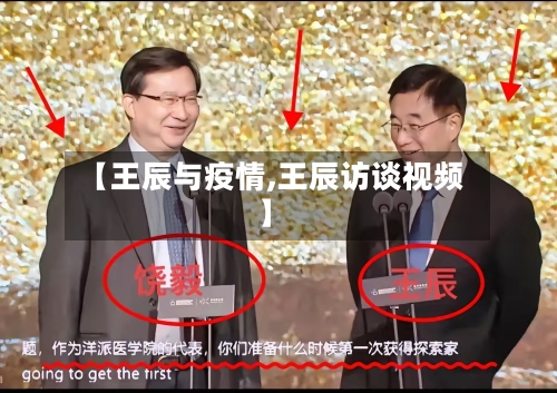 【王辰与疫情,王辰访谈视频】