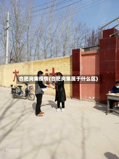 合肥岗集疫情(合肥岗集属于什么区)