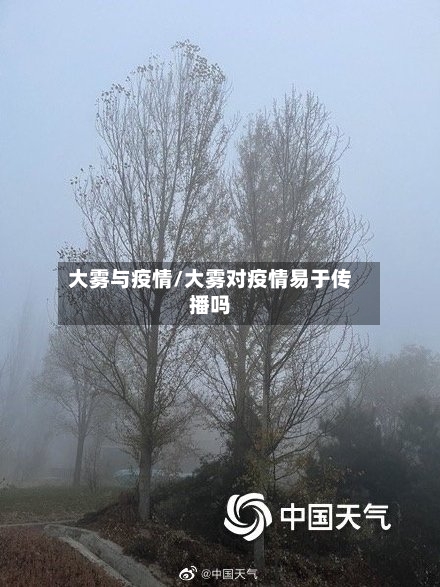 大雾与疫情/大雾对疫情易于传播吗