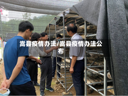 嵩县疫情办法/嵩县疫情办法公布