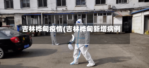 吉林桦甸疫情(吉林桦甸新增病例)-第2张图片