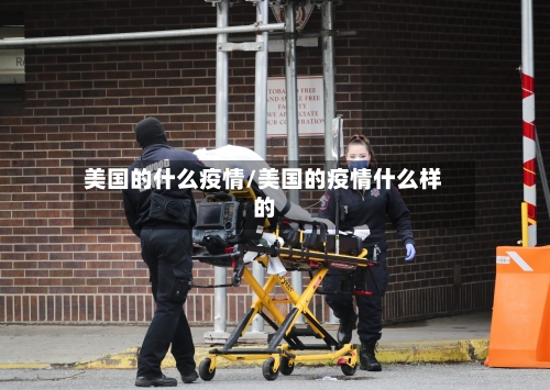 美国的什么疫情/美国的疫情什么样的